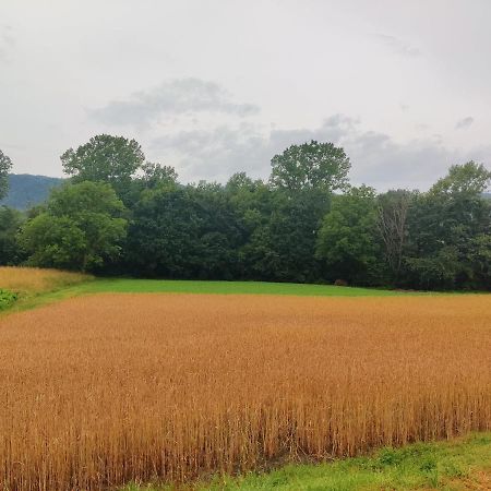 Agriturismo Munarin Caterina Mioglia Kültér fotó